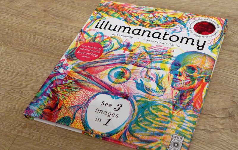 illumanatomy review