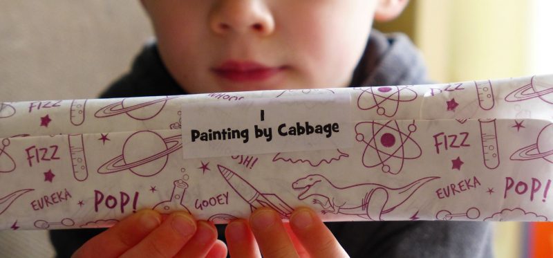 Letterbox lab box four painting by cabbage