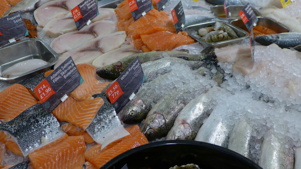 tesco farm to fork trail fish counter