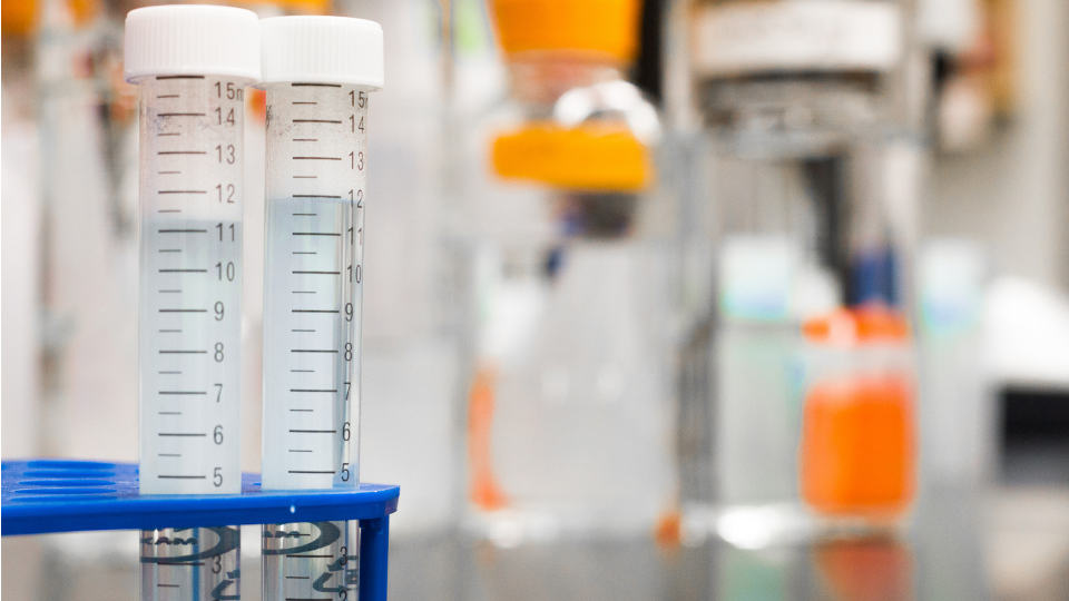 Science Saturday