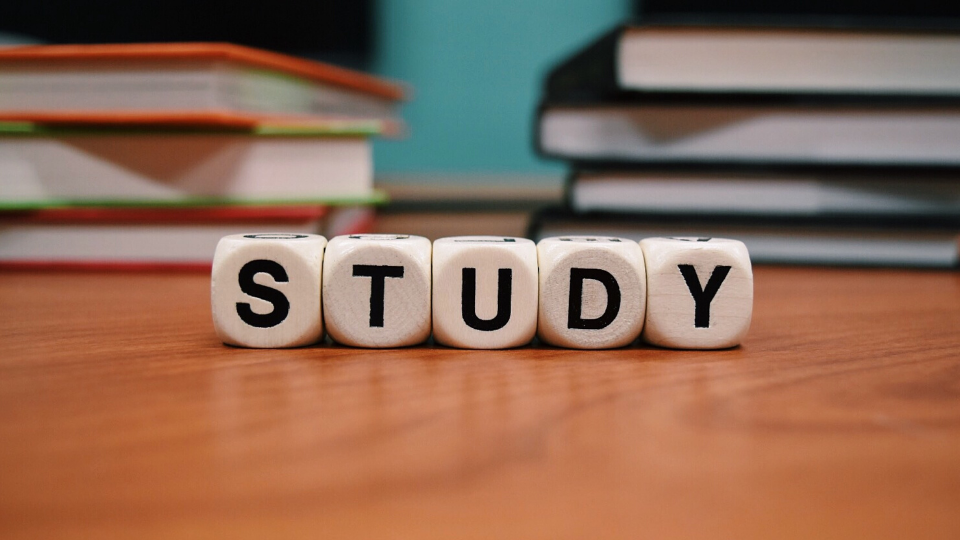 Study spelt out with cubes
