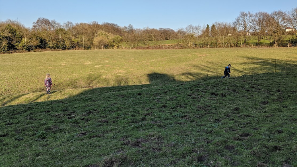 green field